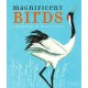Magnificent Birds