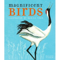 Magnificent Birds