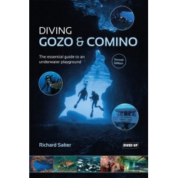 Diving Gozo & Comino: The essential guide to an underwater playground