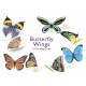 Butterfly Wings: A Matching Game