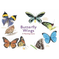Butterfly Wings: A Matching Game