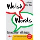 Welsh Words - Geirfa Graidd, Lefel Mynediad (De Cymru/South Wales)