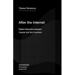 After the Internet: Digital Networks between the Capital and the Common