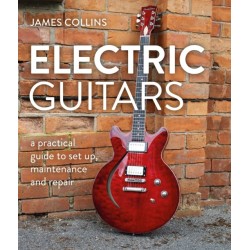 Electric Guitars: A Practical Guide to Set Up, Maintenance and Repair