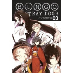 Bungo Stray Dogs, Vol. 3