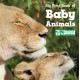 My First Book of Baby Animals (National Wildlife Federation)