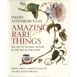 Amazing Rare Things: The Art of Natural History in the Age of Discovery