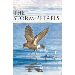The Storm-petrels