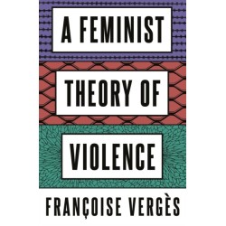 A Feminist Theory of Violence: A Decolonial Perspective