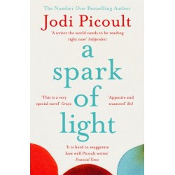 A Spark of Light: The heart-stopping must-read from No.1 Sunday Times Bestseller!