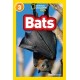 Bats: Level 3
