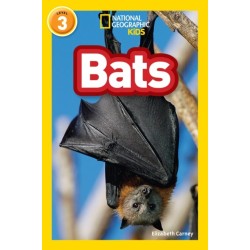 Bats: Level 3