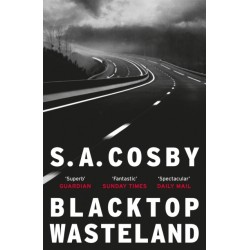 Blacktop Wasteland: the acclaimed and award-winning crime hit of the year