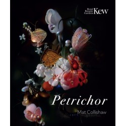 Petrichor