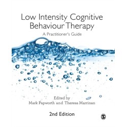 Low Intensity Cognitive Behaviour Therapy: A Practitioner's Guide