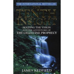 The Tenth Insight: the follow up to the bestselling sensation The Celestine Prophecy
