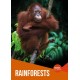 Rainforests
