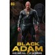 Black Adam: Rise and Fall of an Empire