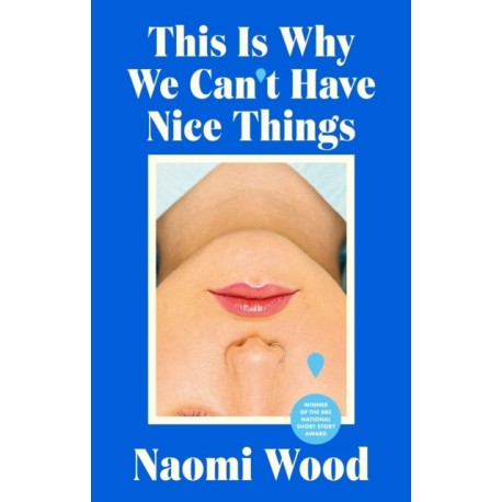 This Is Why We Can't Have Nice Things: Winner of the 2023 BBC National Short Story Award