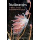 Nudibranchs of Britain, Ireland and Northwest Europe: Second Edition