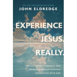 Experience Jesus. Really: Finding Refuge, Strength, and Wonder through Everyday Encounters with God