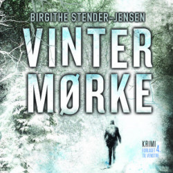 Vintermørke
