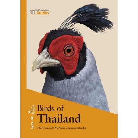 Birds of Thailand