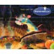 Art of Ratatouille