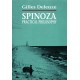 Spinoza: Practical Philosophy