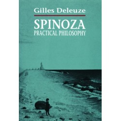 Spinoza: Practical Philosophy