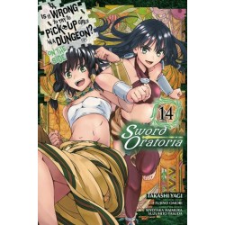 Is It Wrong to Try to Pick Up Girls in a Dungeon? On the Side: Sword Oratoria, Vol. 14 (manga)