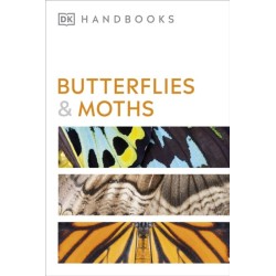 Butterflies and Moths