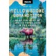 Moon Best of Yellowstone & Grand Teton (Second Edition): Make the Most of One to Three Days in the Parks