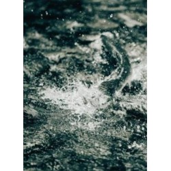 Bruno Augsburger - Gone Fishing