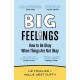 Big Feelings: How to Be Okay When Things Are Not Okay