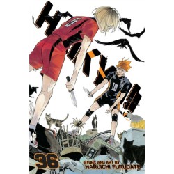 Haikyu!!, Vol. 36: I Win