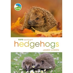 RSPB Spotlight Hedgehogs