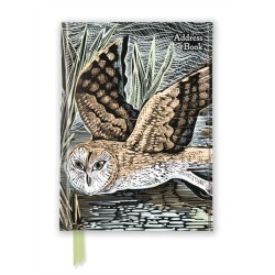 Angela Harding: Marsh Owl (Address Book)