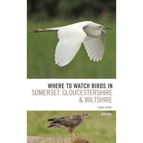Where To Watch Birds in Somerset, Gloucestershire and Wiltshire