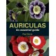 Auriculas: An Essential Guide