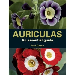 Auriculas: An Essential Guide
