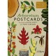 Arboretum Postcards