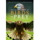The Secret Life of Birds of Prey: Feathers, Fury and Friendship