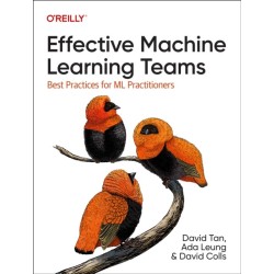 Effective Machine Learning Teams: Best Practices for ML Practitioners