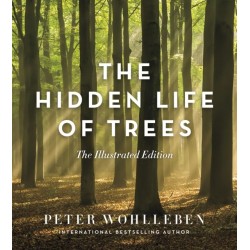 The Hidden Life of Trees: The Illustrated Edition
