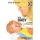 How it Works: The Baby (Ladybird for Grown-Ups)