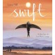 Swift: An Epic Story of a Small Bird's Courage