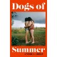 The Dogs of Summer: A sultry, simmering story of girlhood and an international sensation