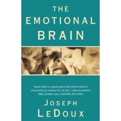 The Emotional Brain