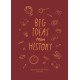 Big Ideas from History: a history of the world for You
